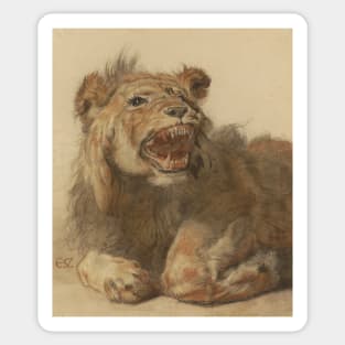 A Lion Snarling by Cornelis Saftleven Sticker